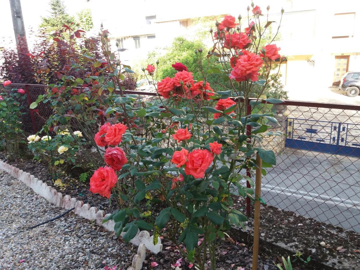 Bed And Breakfast Les Roses Multicolores Du 47 Фюмель Экстерьер фото